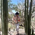 man walks between two cacti
