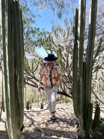 man walks between two cacti