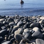 Man emerges from lake water